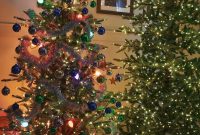 DIY Orange Peel Star Garland: Festive Natural Holiday Decor
