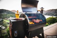 Pellet Grills vs Charcoal Grills: Which Is Right for Your Backyard?