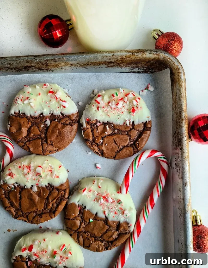 Chocolate dipped peppermint brownie cookies