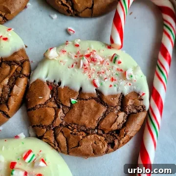 Chocolate dipped peppermint brownie cookies