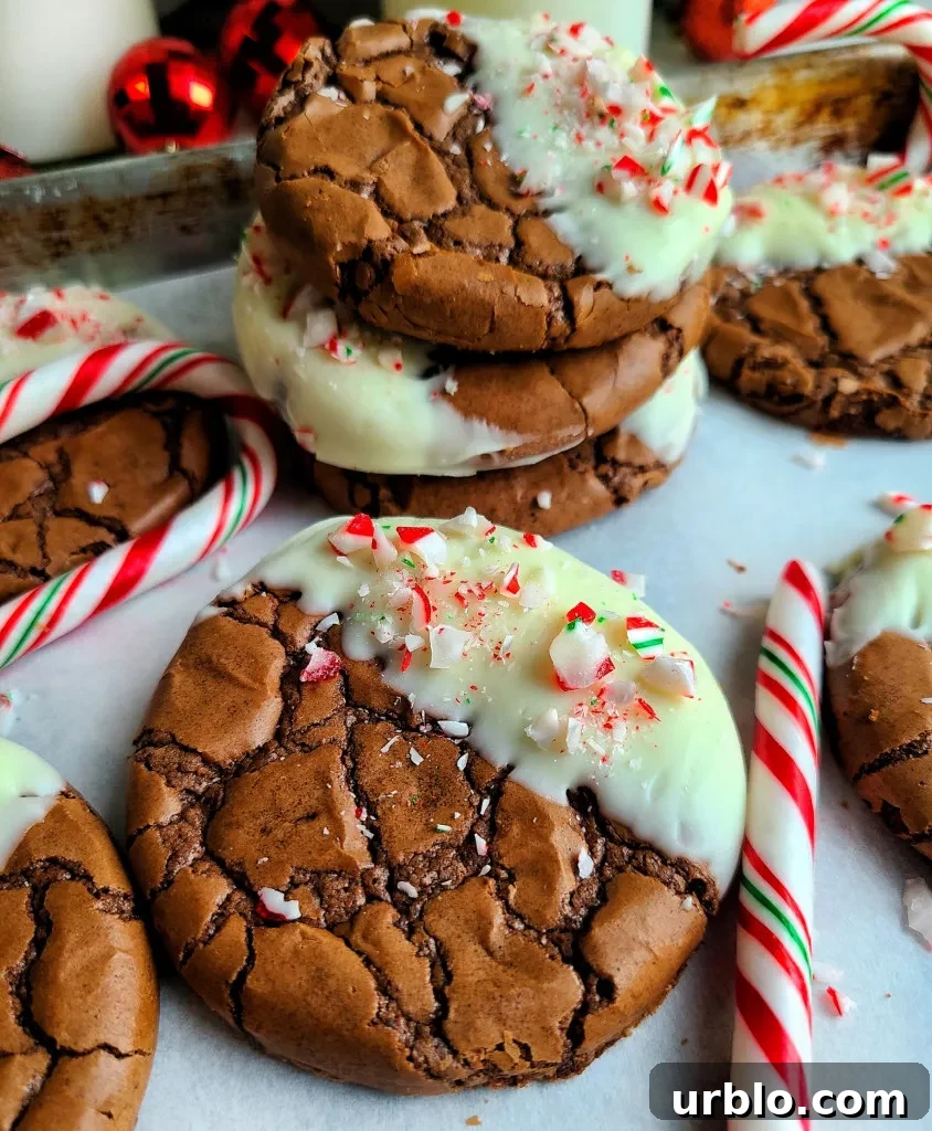 Chocolate dipped peppermint brownie cookies