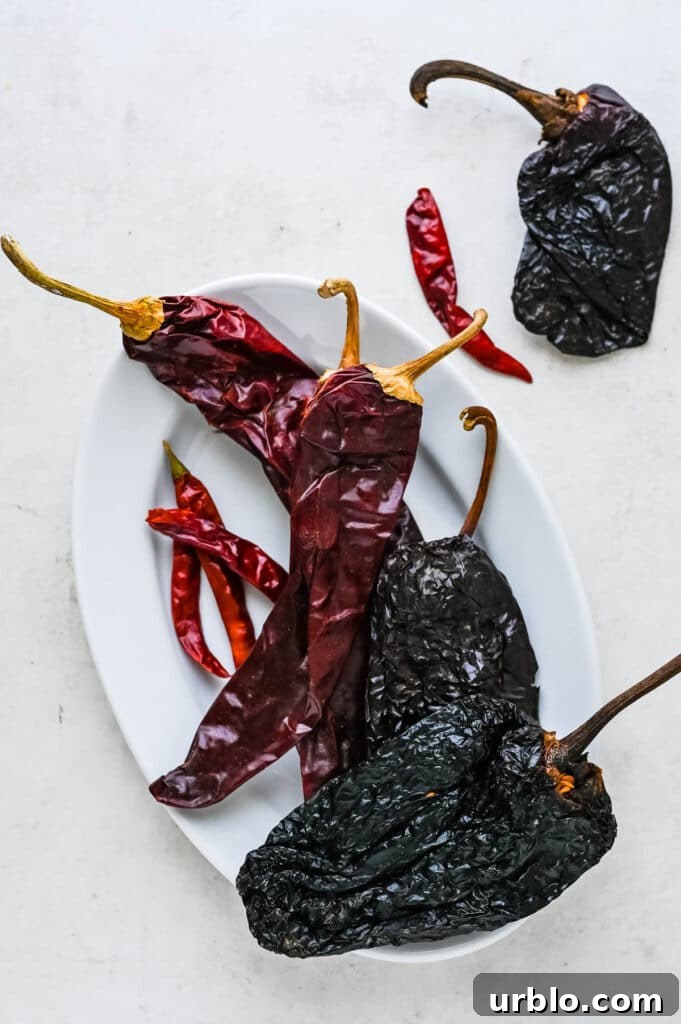 a trio of dried chile peppers. 