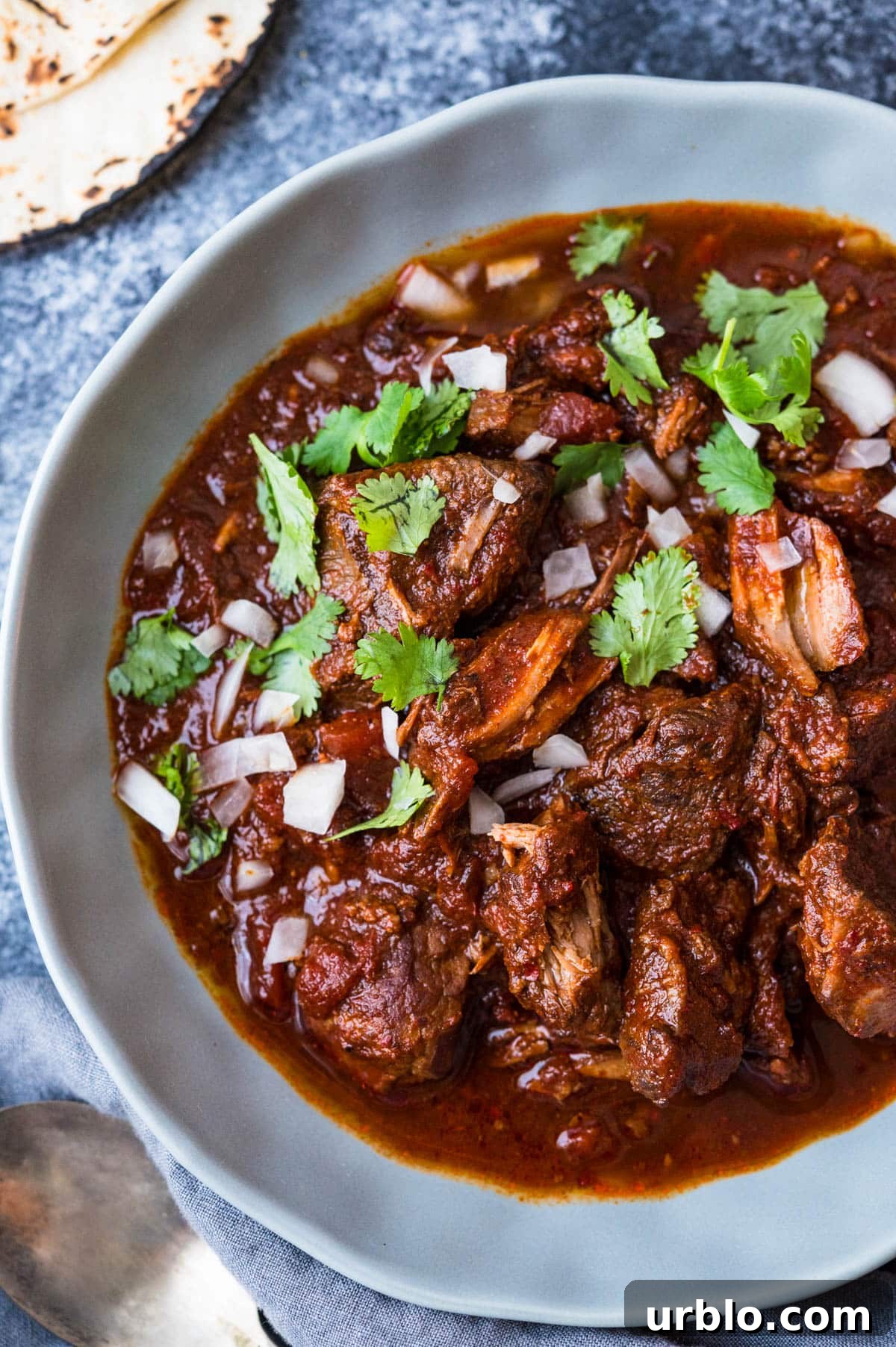 Serving beef birria with fresh onions and cilantro.
