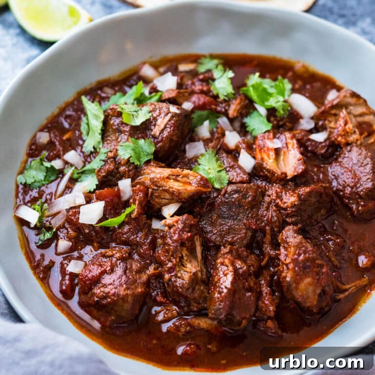 Beef birria in a bowl with onion and cilantro for garnish.