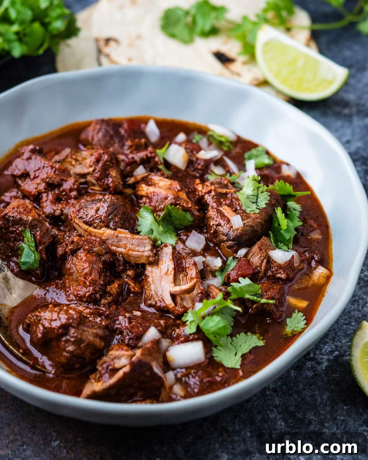 Serving a bowl of beef barrio with flour tortillas.