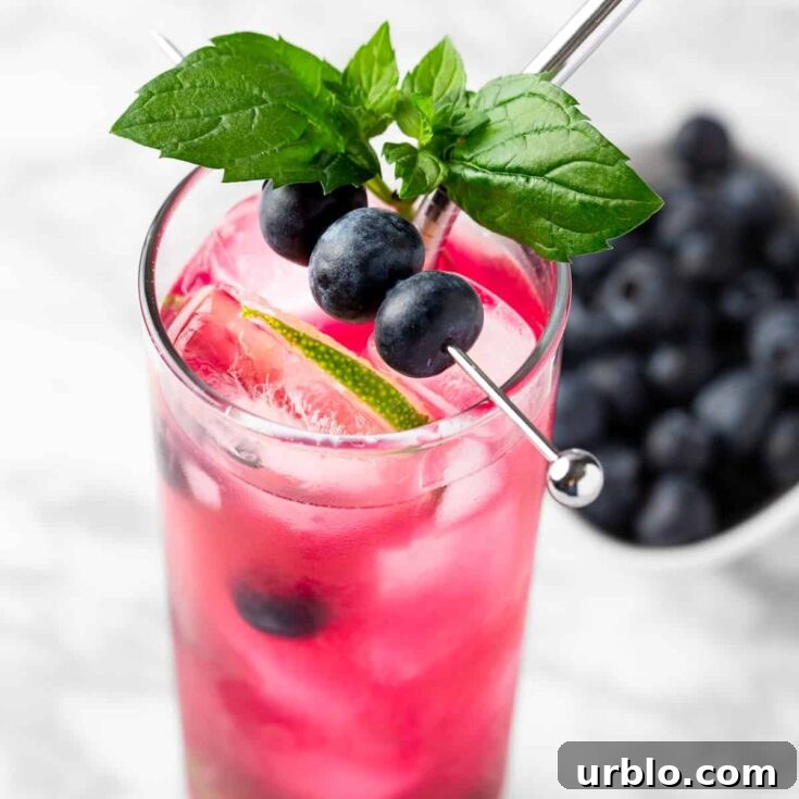 Blueberry mojitos garnished with fresh blueberries and mint leaves.