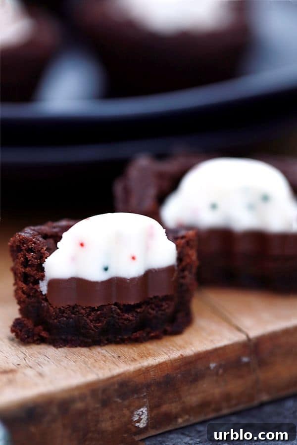 These one bowl Peppermint Bark Brownie Bites are an easy holiday inspired sweet that take just 15 minutes to prepare. Peppermint bark candies stud these deliciously fudgy, one bite chocolate brownie treats.