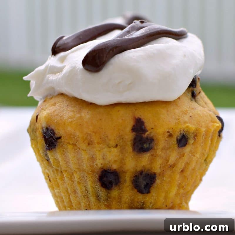 low calorie pumpkin chocolate muffin