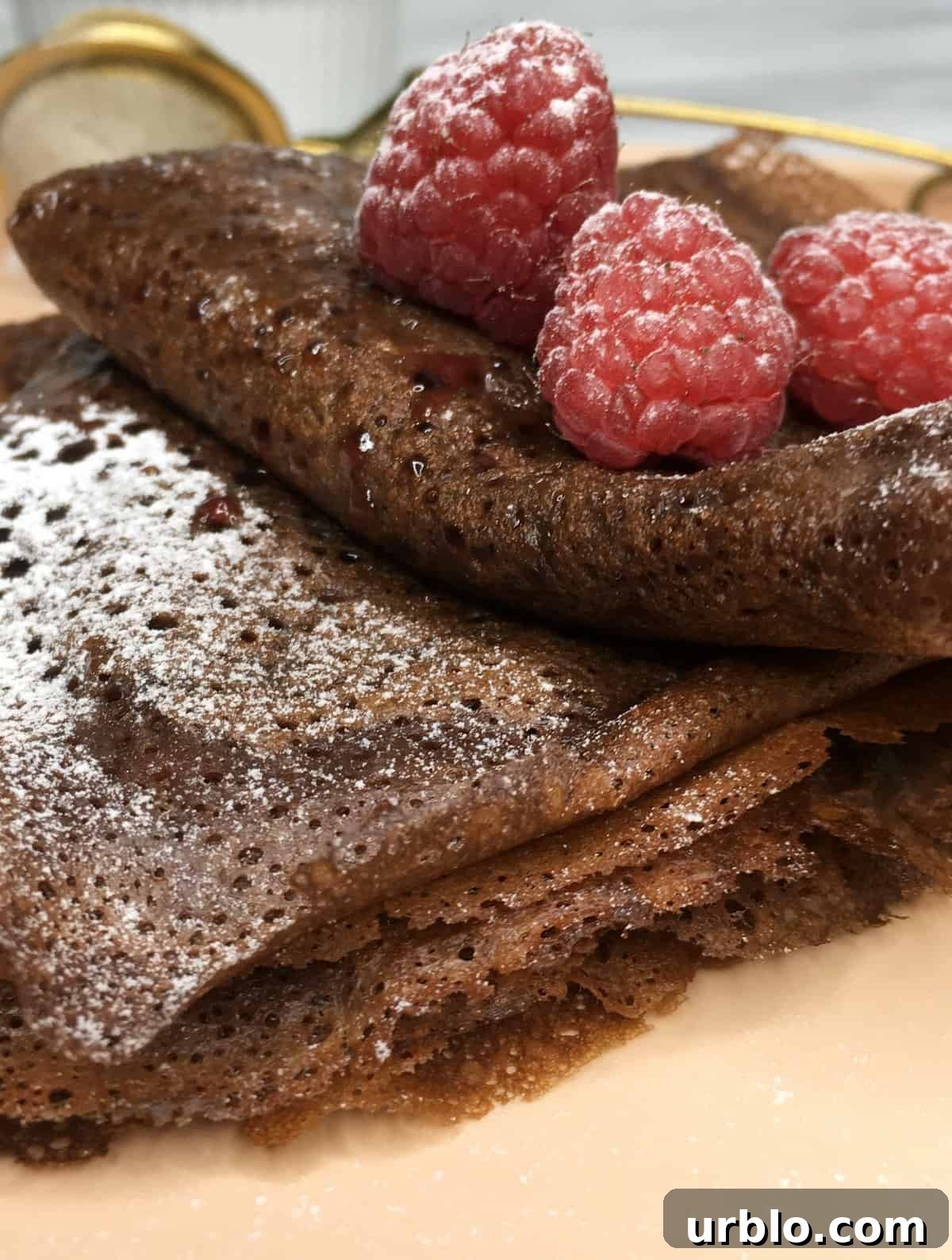 French chocolate crepes folded in four served with raspberry jam icing sugar on a plate