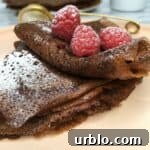 French chocolate crepes folded in four served with raspberry jam icing sugar on a pink plate.