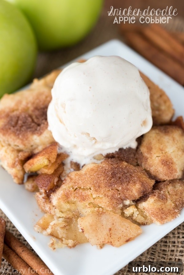 Snickderdoodle-Apple-Cobbler-7-of-10w