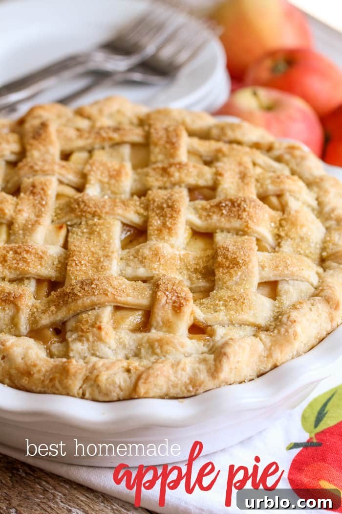 best homemade apple pie