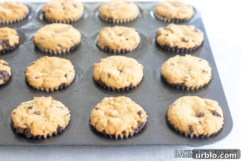 Decadent Brookie Bites Recipe: Chocolate Brownie + Cookie Bars 11 baked cookies in pan