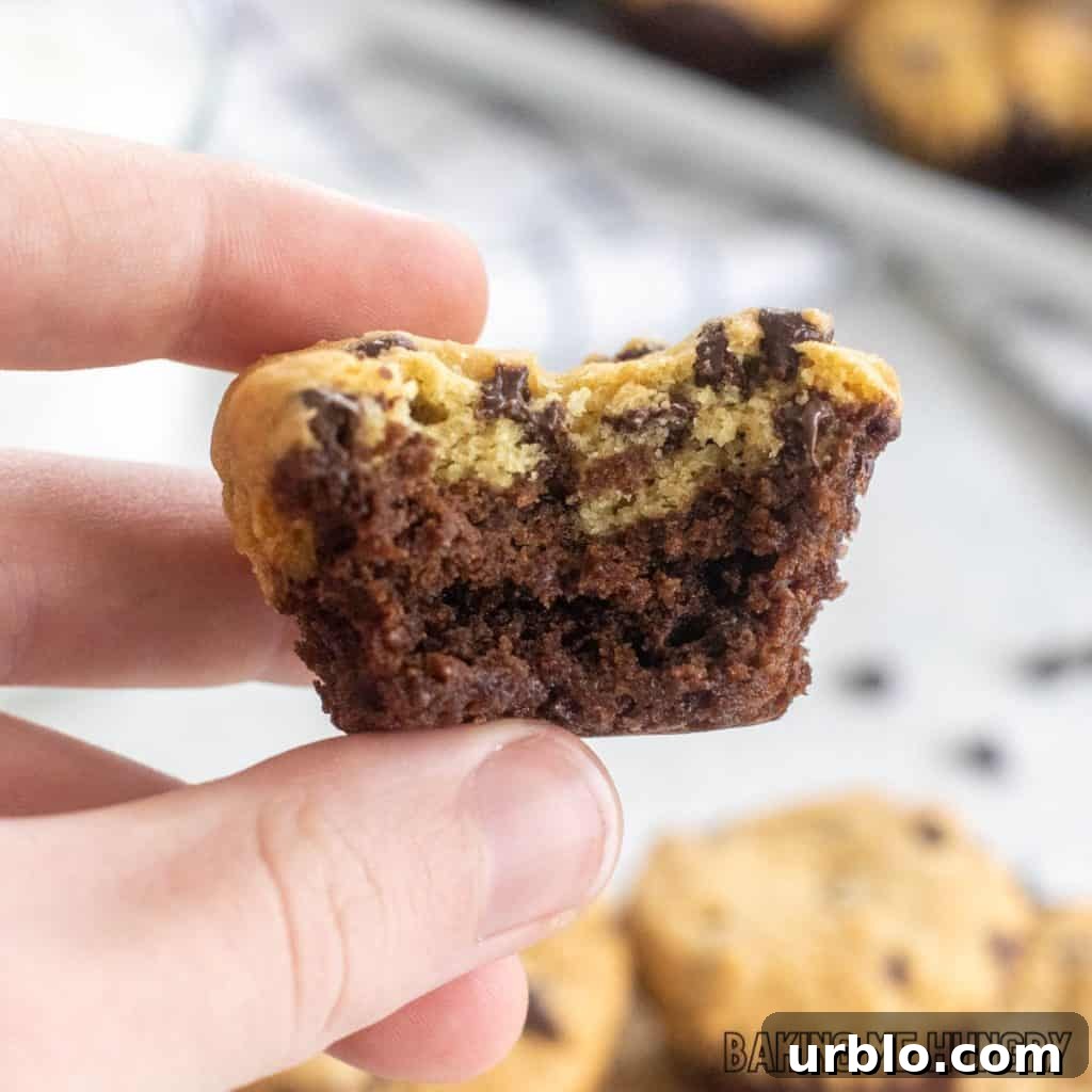 Decadent Brookie Bites Recipe: Chocolate Brownie + Cookie Bars 13 hand holding one of the cookies from the brookie bites recipe missing a bite