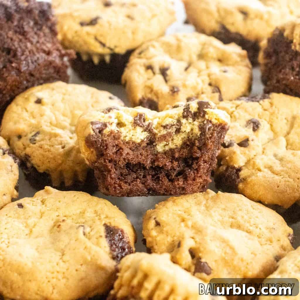 Decadent Brookie Bites Recipe: Chocolate Brownie + Cookie Bars 3 brookie bites piled up with one missing a bite