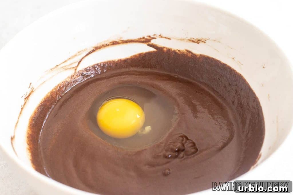 Decadent Brookie Bites Recipe: Chocolate Brownie + Cookie Bars 6 egg added to bowl