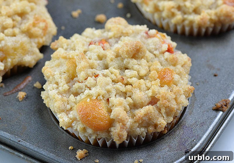 Baked peach muffin in the pan.