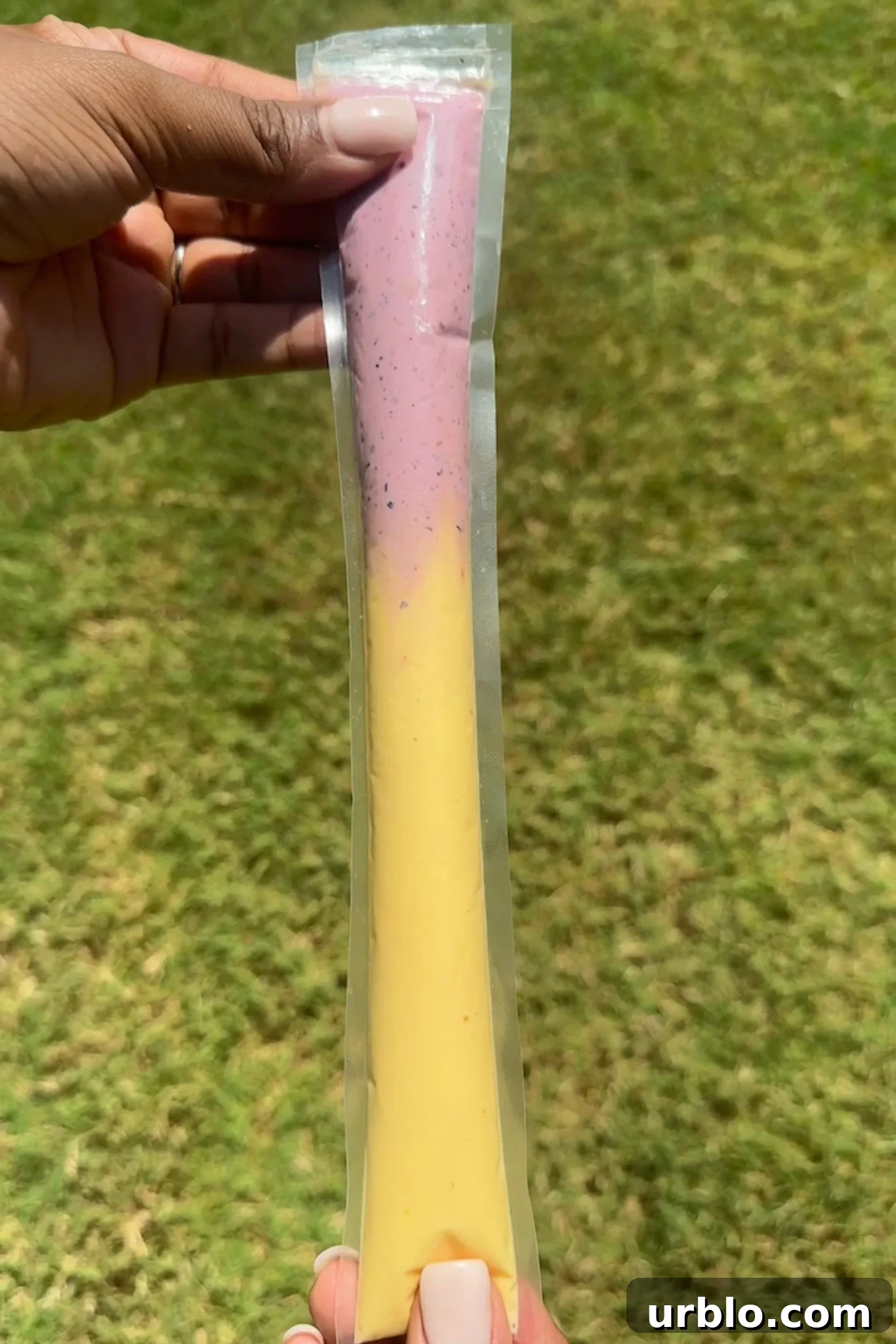 How to Make Gogurts: Homemade Yogurt Tubes Recipe 6 Homemade yogurt tubes.