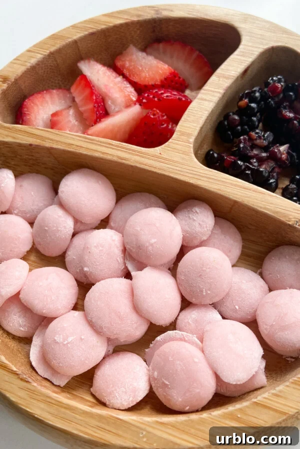 How to Make Gogurts: Homemade Yogurt Tubes Recipe 8 Strawberry banana yogurt melts served with sliced strawberries and blackberries