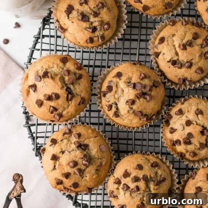 gluten-free chocolate chip banana muffins on black wire rack.