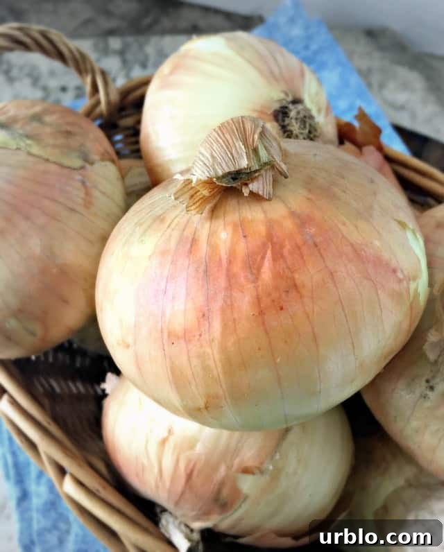 basket of onions with a peachy glow to the skin