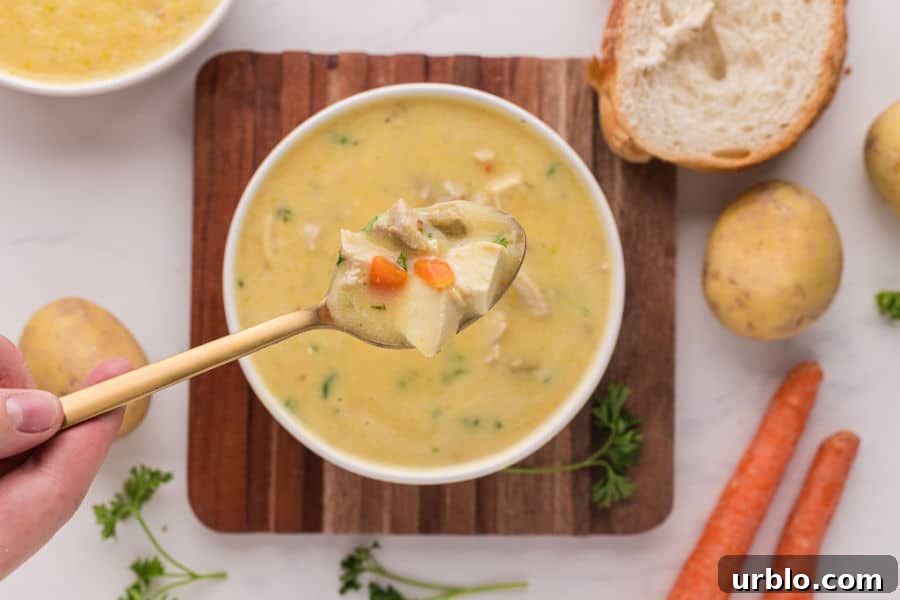 Spoonful of soup on a gold spoon.