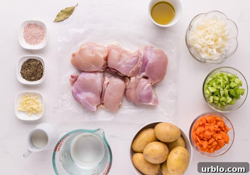 Chicken, vegetables, spices, and water on a table.