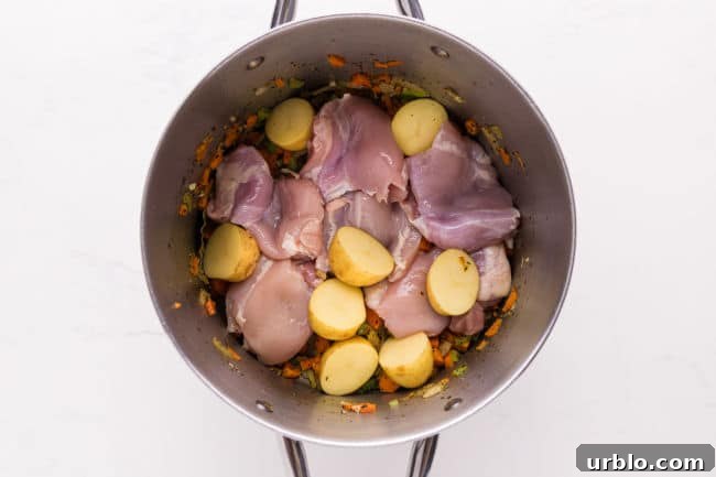 Chicken and potatoes in a large pot.