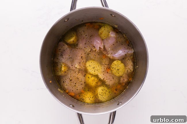 Chicken, potatoes, and vegetables submerged in water.