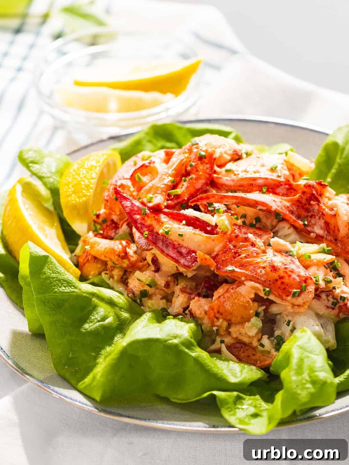 Lobster salad with light dressing on top of lettuce.