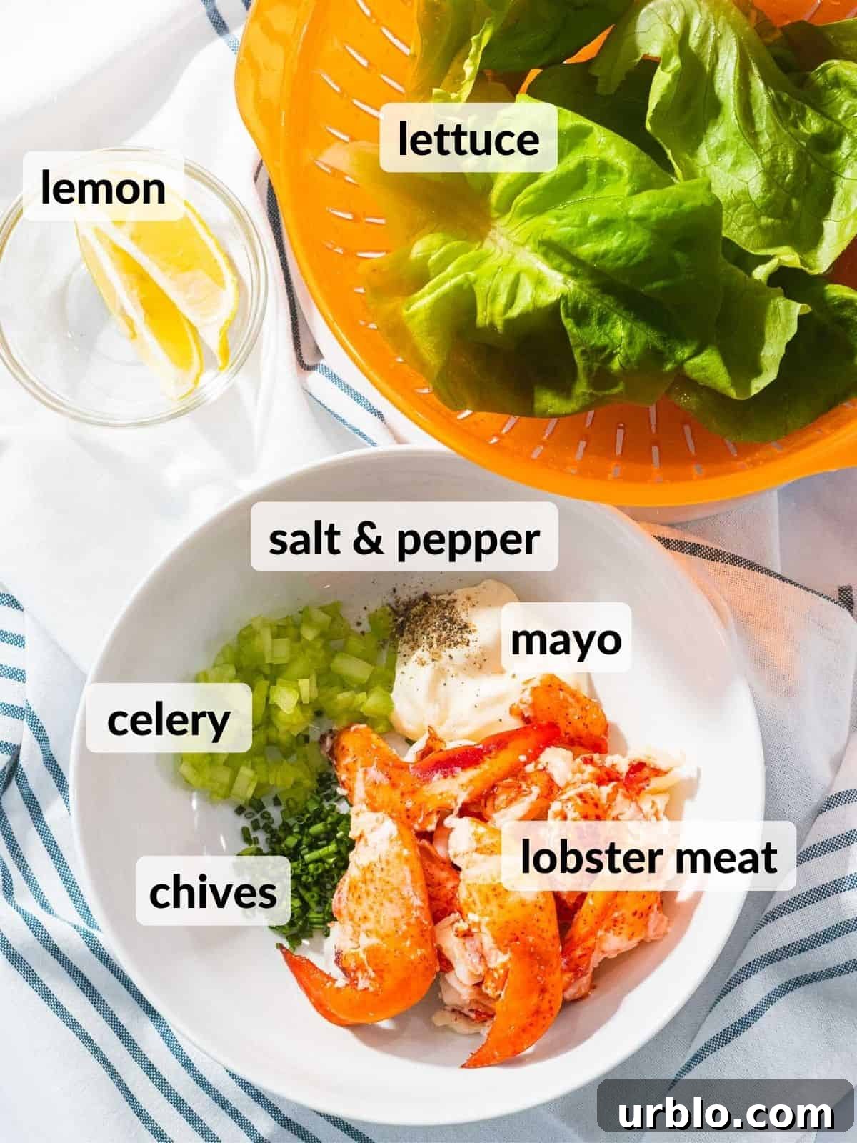 Ingredients for lobster salad including lobster meat, lettuce, and mayo.