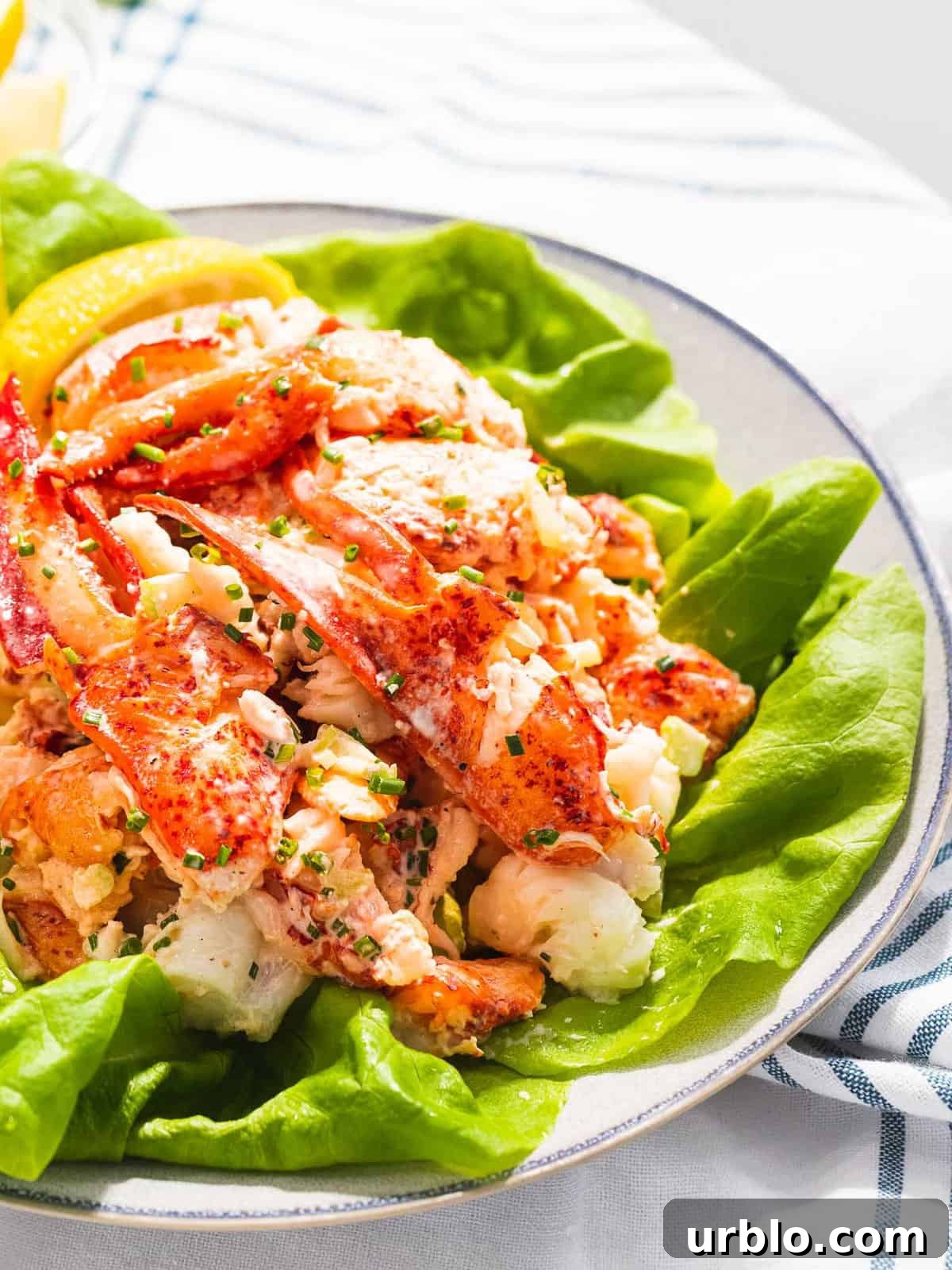 Lobster salad with light dressing on a bed of lettuce.