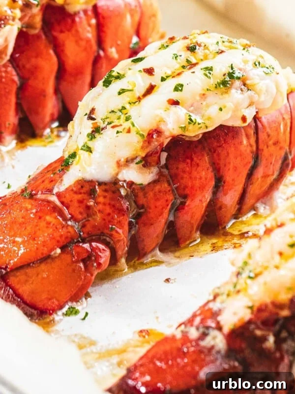 Broiled lobster tail with garlic butter.