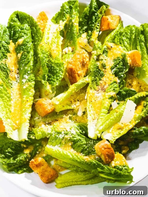 Caesar salad with romaine lettuce, croutons, and homemade dressing.