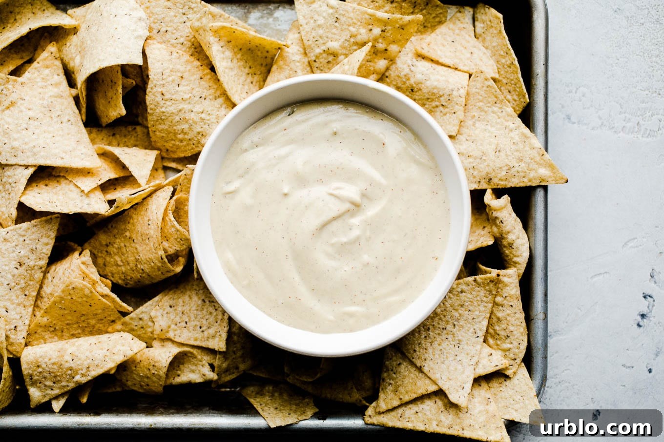 queso blanco in bowl with chips
