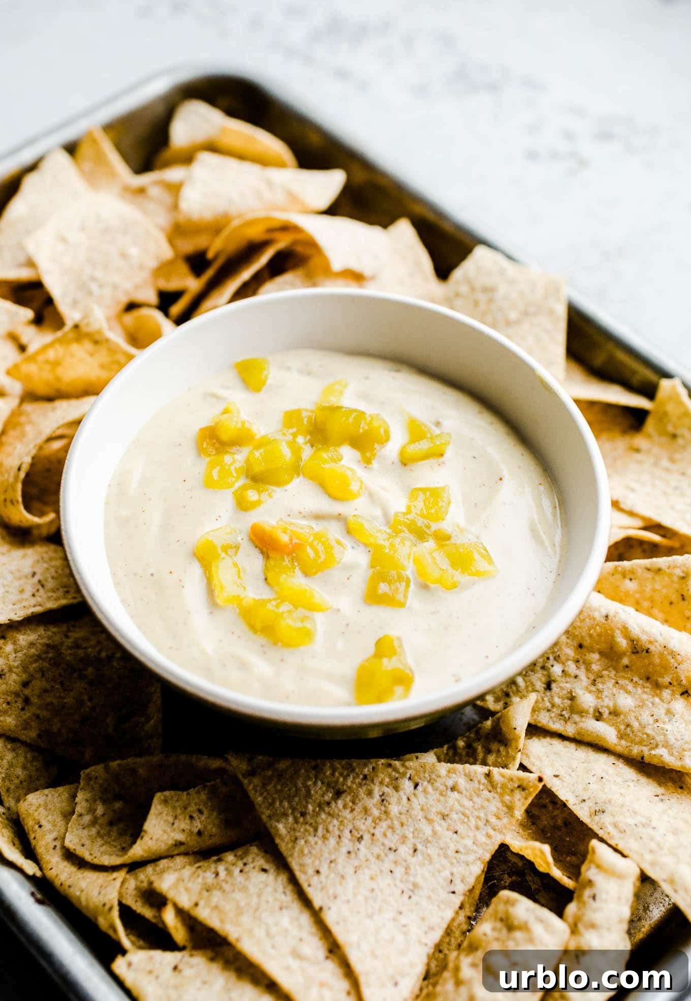 Vegan queso blanco with hatch chilis and chips