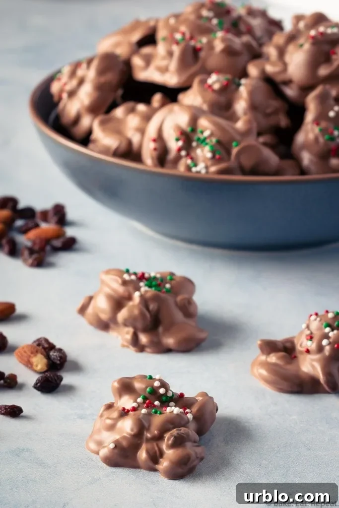 Slow-Cooker Fruit and Nut Candy Recipe for Holidays 6 fruit and nut chocolate candy made in the slow cooker