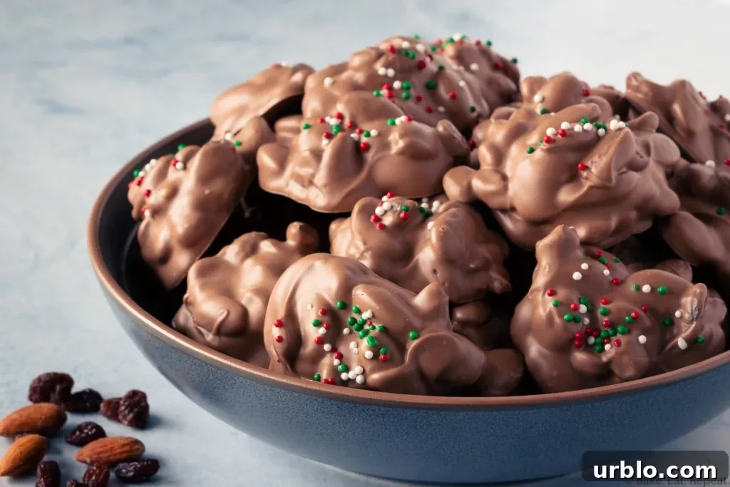 Slow-Cooker Fruit and Nut Candy Recipe for Holidays 3 slow cooker chocolate candy with almonds and raisins