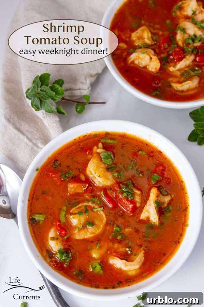 Looking down into two bowls of red soup with shrimp, an oregano sprig next to it, and title in upper left: Shrimp Tomato Soup.