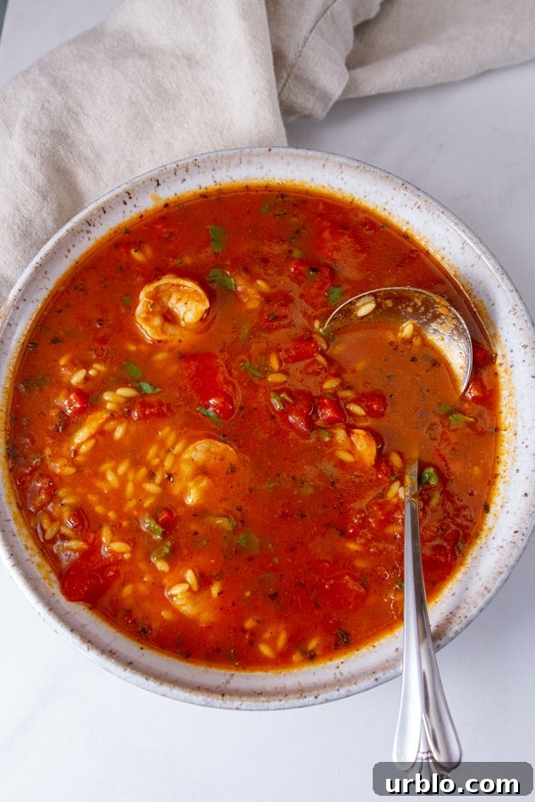 A white bowl filled with tomato soup with pasta, shrimp, and herbs in it, a ladle in the right of the bowl.
