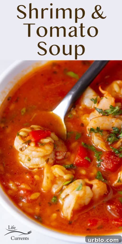a bowl of Shrimp and tomato soup with orzo and herbs