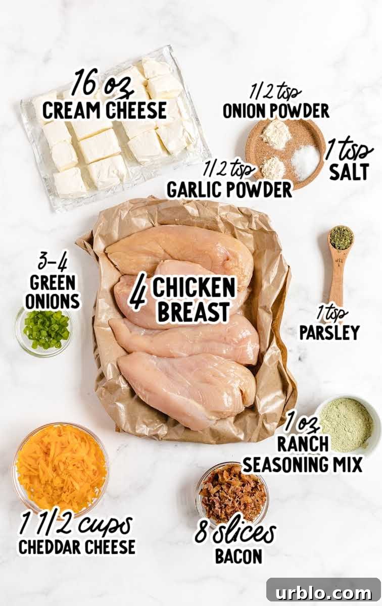 Crockpot Crack Chicken raw ingredients that are labeled