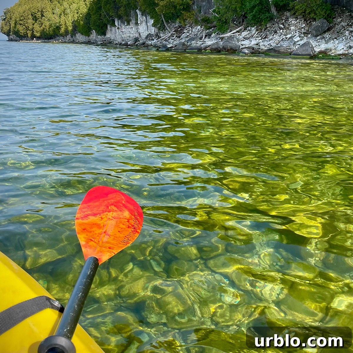 Kayaking in Green Bay where you can see how green the water is.