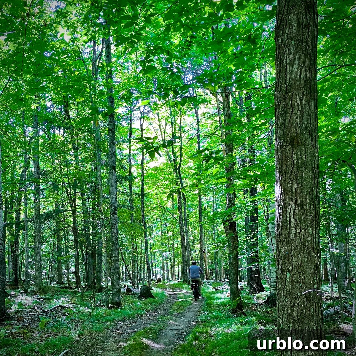 Biking on one of the many tree covered trails through Peninsula State Park.