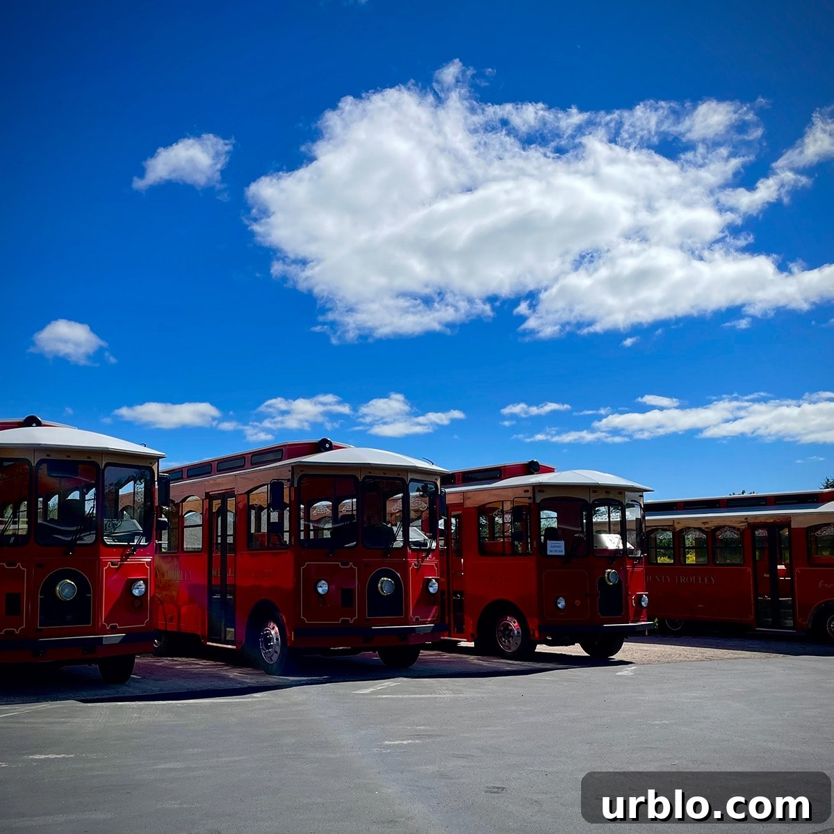 Door County trollies parked in a row.
