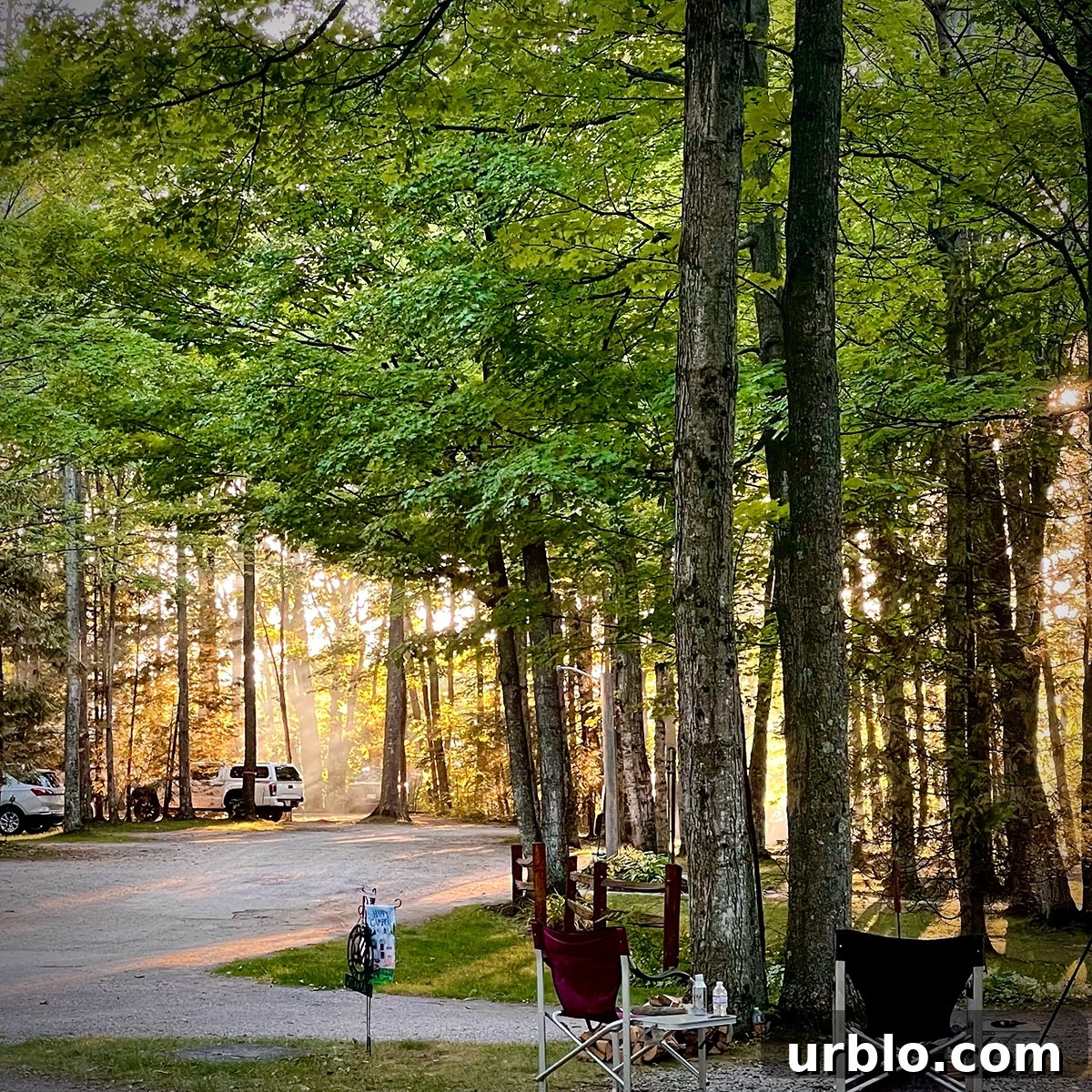 Looking out across the forested area of Hy-Land Court RV Park in Ellison Bay, Wisconsin.