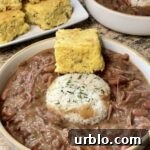 Crispy Fried Pork Chops with Homemade Pan Gravy 20 related dish thumbnail