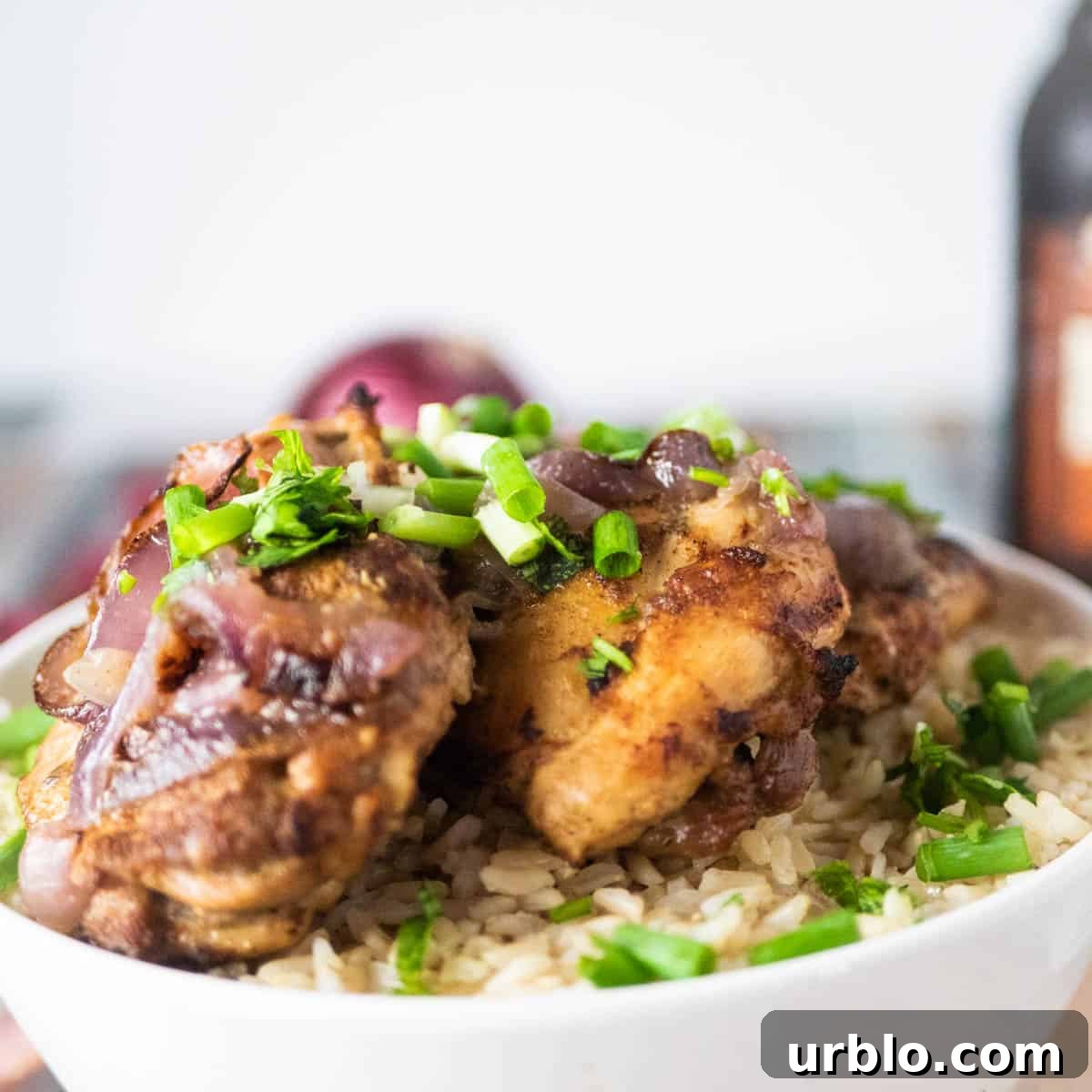 Instant Pot Greek Chicken with Lemon and Oregano 2 instant pot greek chicken close up