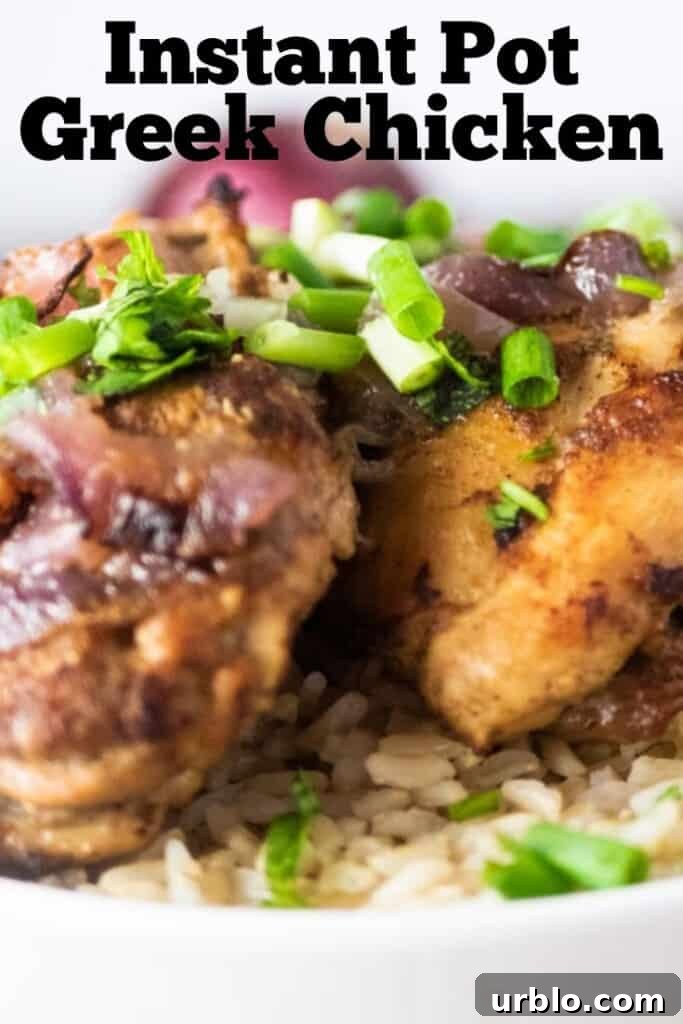 Instant Pot Greek Chicken with Lemon and Oregano 6 Close Up of Greek Chicken over Rice Bowl