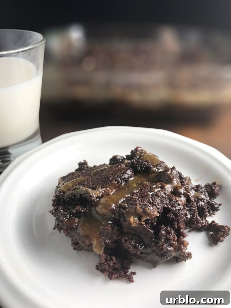 Dairy-Free Caramel Chocolate Brownies